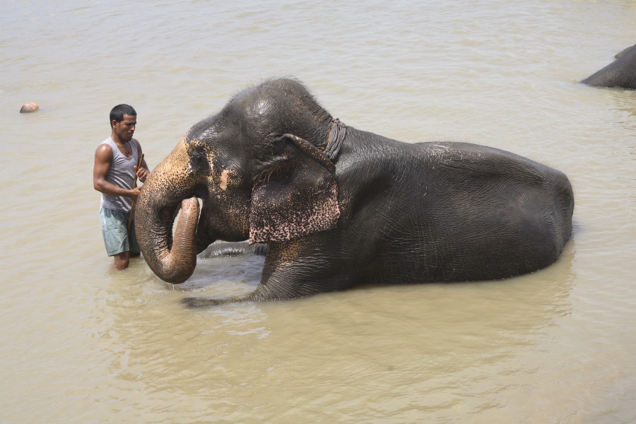 Click to see next picture