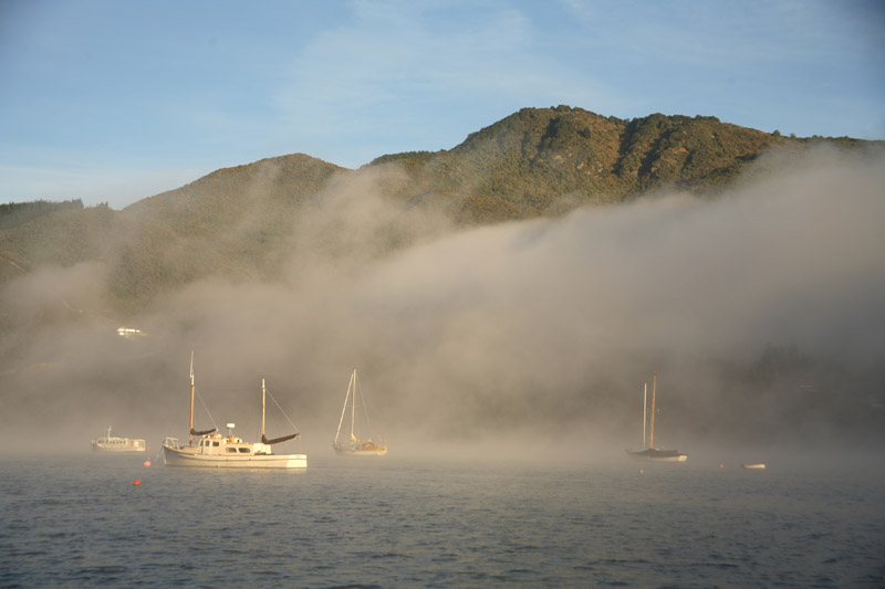 Click to see next picture