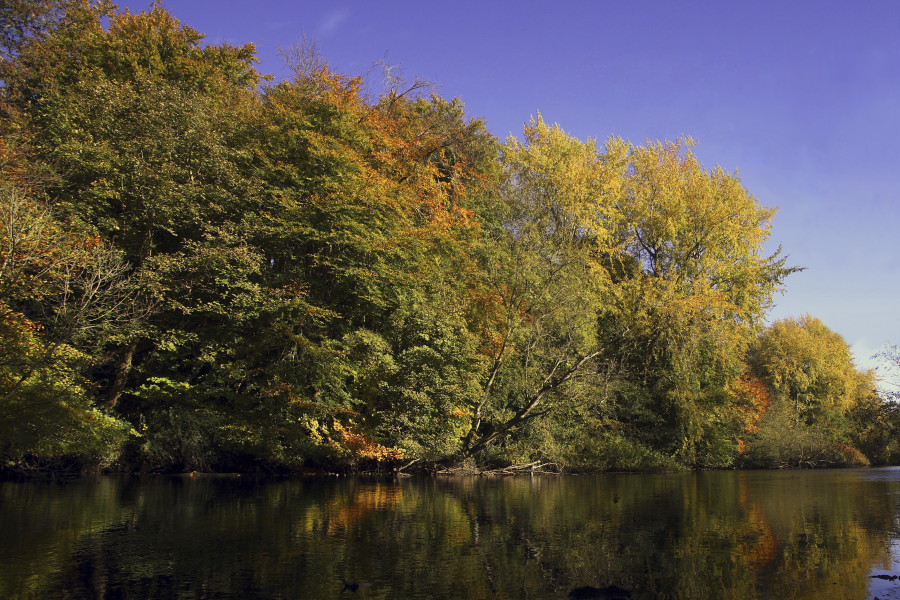 Click to see next picture