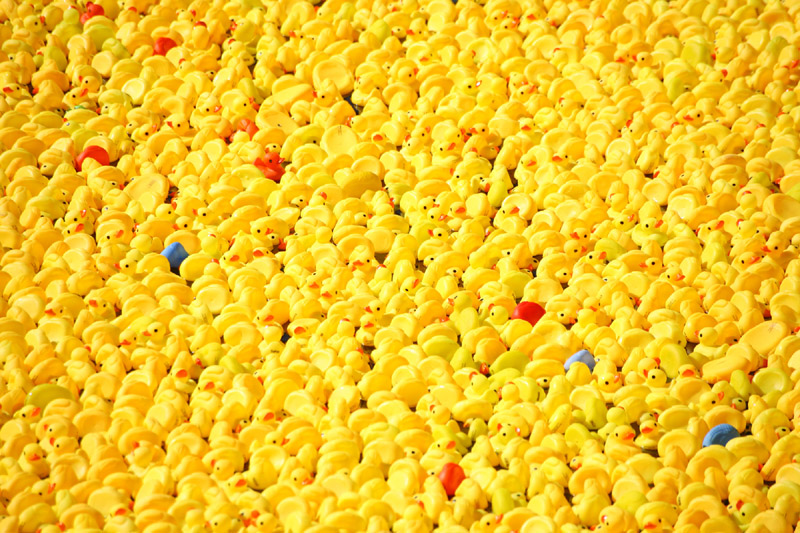 Click to see next picture